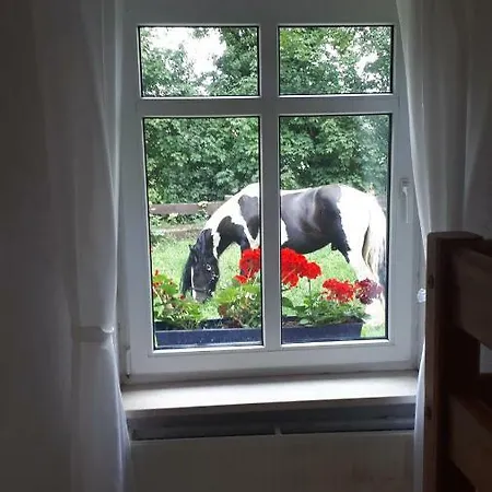 Appartement Rustikale Naturferienwohnung Auf Bauernhof In Alleinlage Naturluxus Wittstock