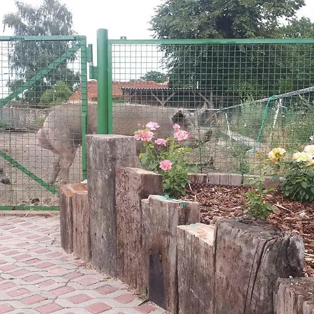 Rustikale Naturferienwohnung Auf Bauernhof In Alleinlage Naturluxus * Wittstock