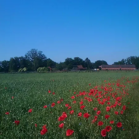 Lägenhet Rustikale Naturferienwohnung Auf Bauernhof In Alleinlage Naturluxus Wittstock